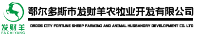 鄂尔多斯市发财羊农牧业开发有限公司